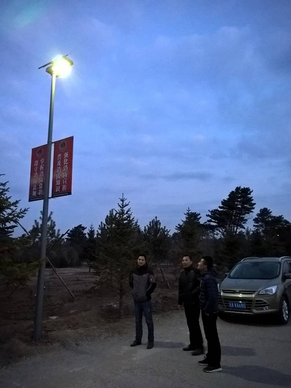 太陽能路燈，太陽能路燈廠家，太陽能路燈價格