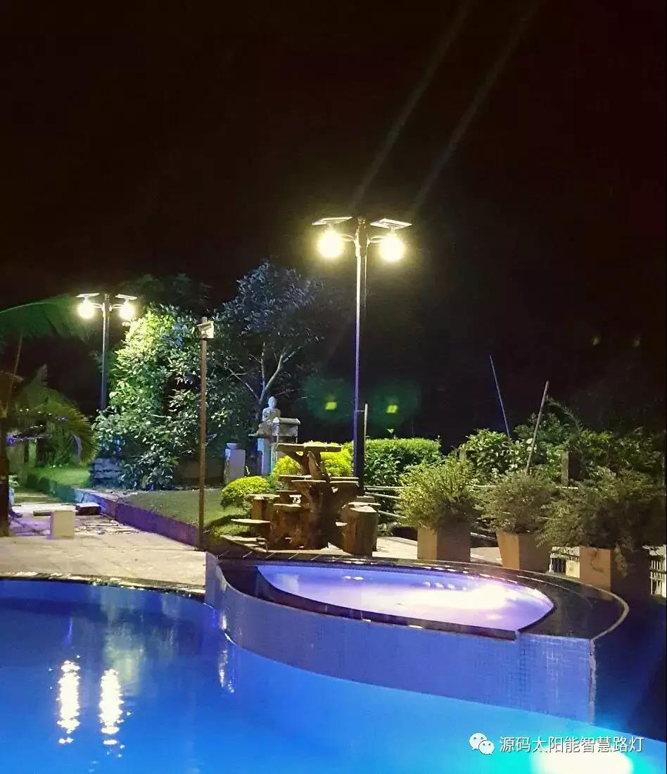 總統、發展局主席齊齊發聲，源碼火遍這個國家