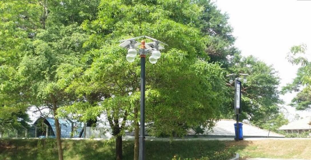 冬季太陽能路燈(燈桿)維護方法(1)